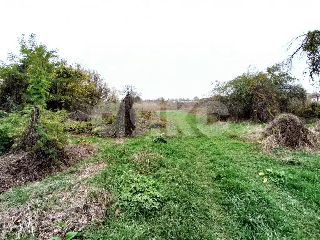 Участок в Краснодарский край, Кореновский район, Платнировское с/пос, ... - Фото 2