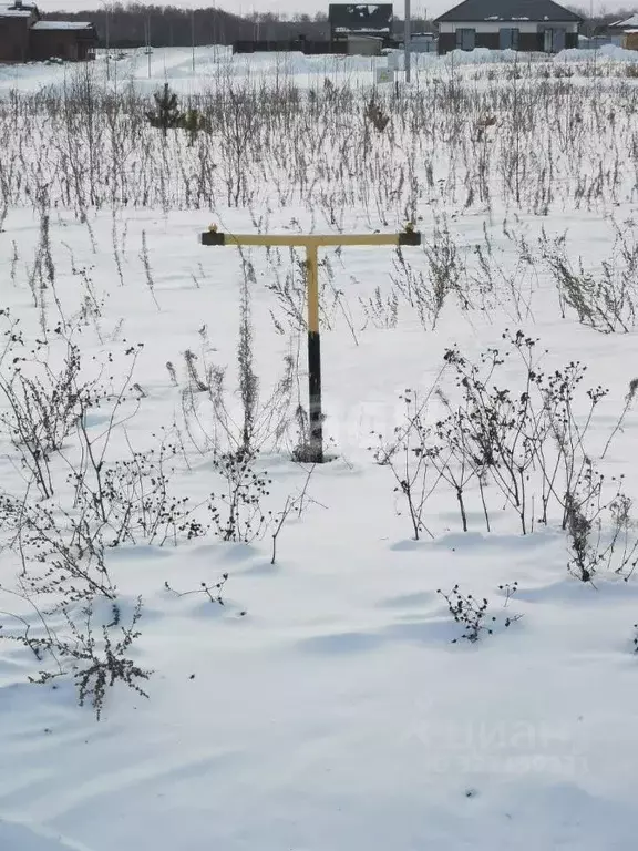 Участок в Тюменская область, Тюменский муниципальный округ, Онегин кп  ... - Фото 1