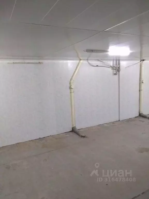 Помещение свободного назначения в Саратовская область, Саратов пл. ... - Фото 2