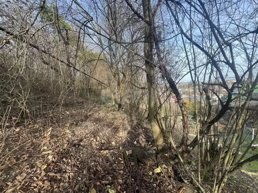 Участок в Краснодарский край, Горячий Ключ ул. Чапаева, 7 (5.0 сот.) - Фото 2