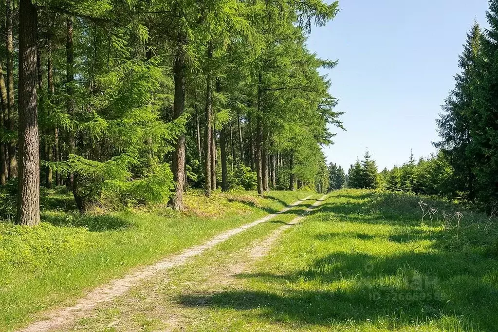 Участок в Московская область, Истра муниципальный округ, д. Алексино  ... - Фото 1