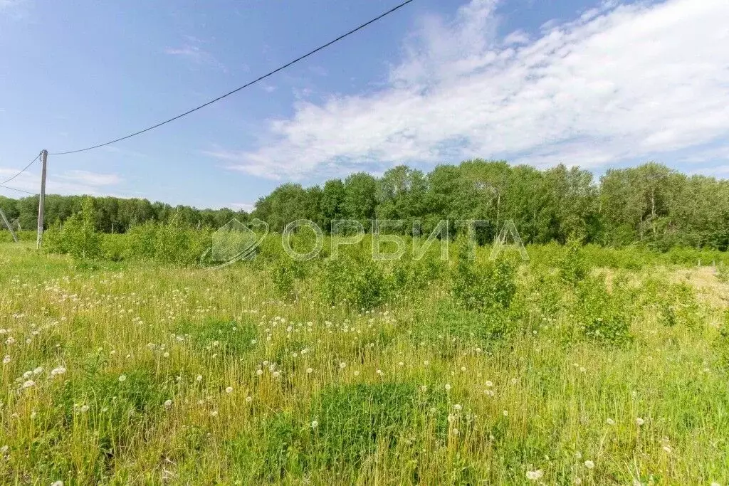 Участок в Тюменская область, Тюменский район, с. Кулига  (7.0 сот.) - Фото 1