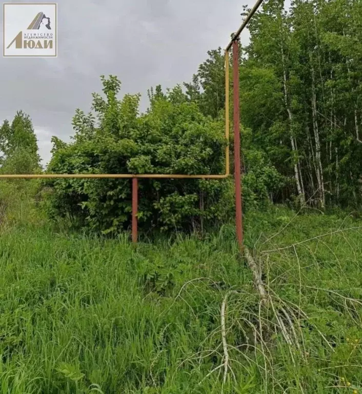 Участок в Новосибирская область, Новосибирский район, Кудряшовский ... - Фото 1