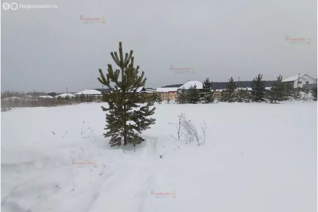 Участок в Свердловская область, Заречный (8 м) - Фото 2