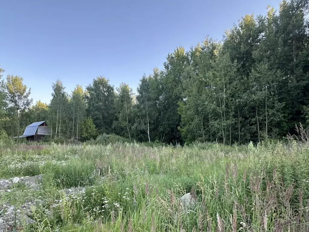 Участок в Московская область, Богородский городской округ, д. Калитино ... - Фото 1