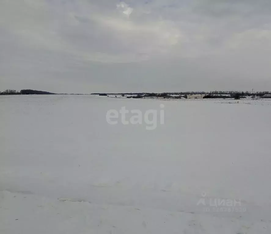 Участок в Белгородская область, Вейделевский район, с. Зенино  (20.0 ... - Фото 2