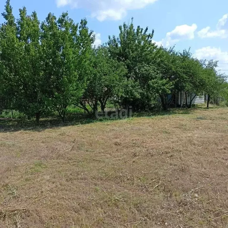 Участок в Белгородская область, Белгородский район, Крутологское ... - Фото 1