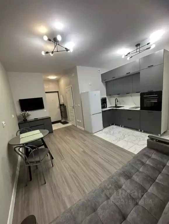 Студия Ленинградская область, Всеволожский район, пос. Бугры ул. ... - Фото 1