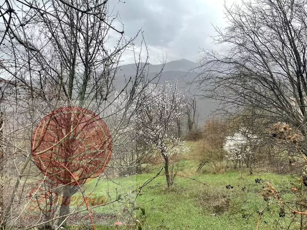 Участок в Крым, Алушта муниципальный округ, пос. Розовый  (7.4 сот.) - Фото 1