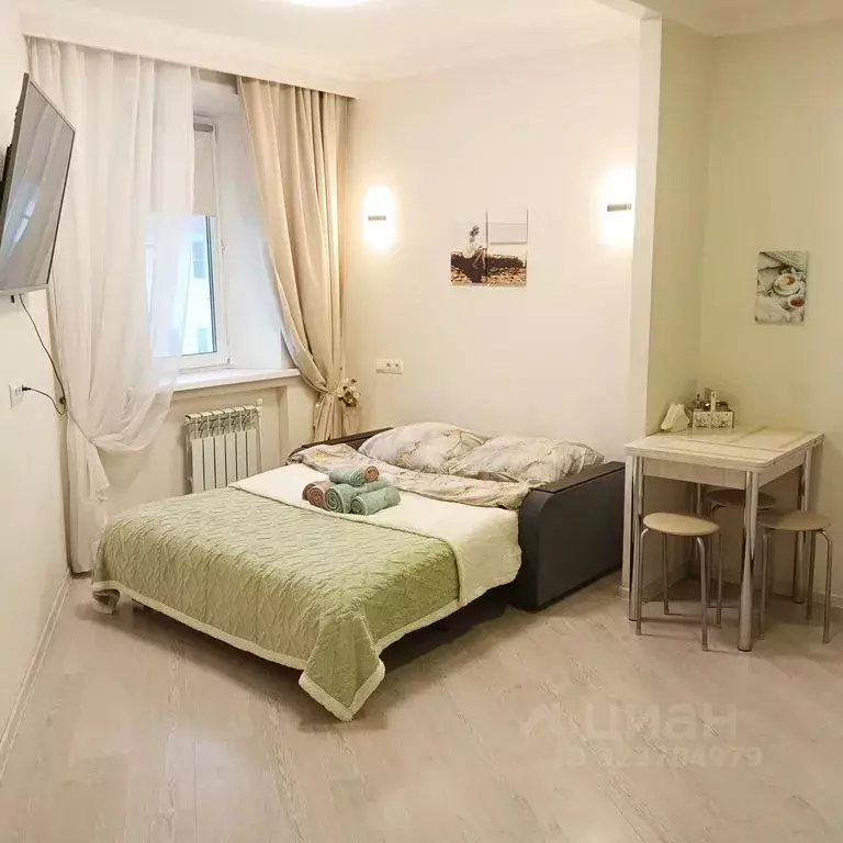 1-к кв. Московская область, Богородский городской округ, д. Новая ... - Фото 1