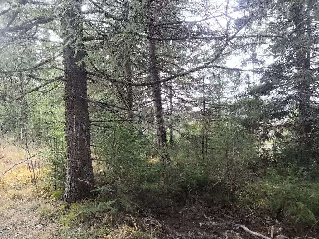 Участок в посёлок Уралец, Белогорская улица (20 м) - Фото 2