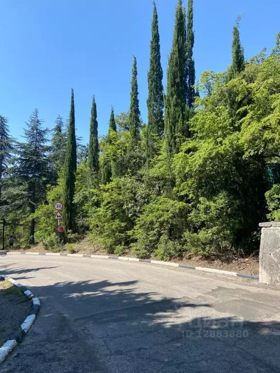 Участок в Крым, Ялта муниципальный округ, пос. Даниловка ул. Лесная ... - Фото 0