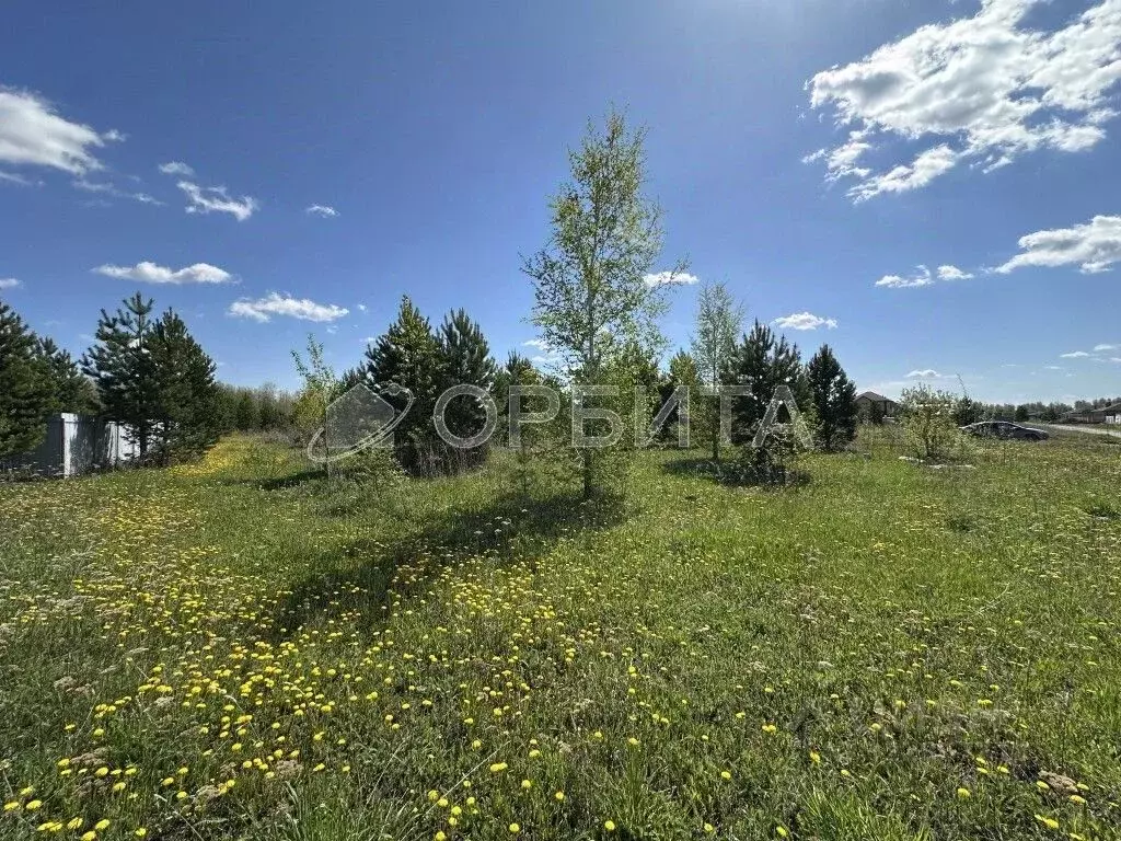 Участок в Тюменская область, Тюменский муниципальный округ, с. Княжево ... - Фото 2