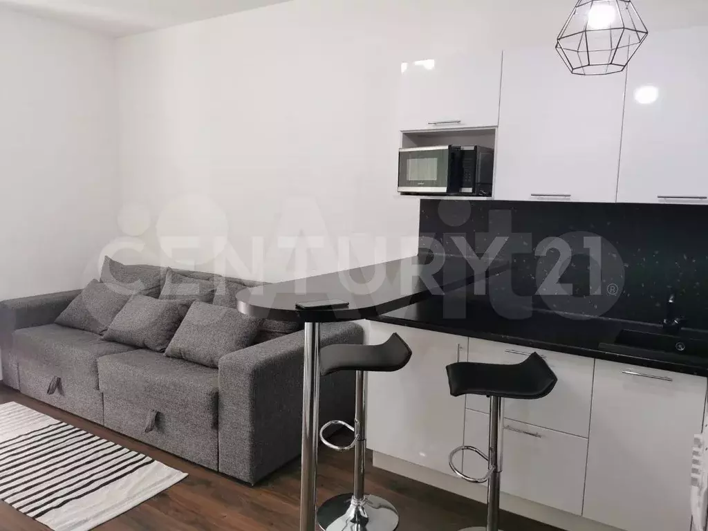 Квартира-студия, 24,1 м, 4/19 эт. - Фото 0