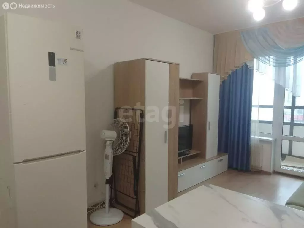 Квартира-студия: Санкт-Петербург, улица Лётчика Лихолетова, 14к2 (24.3 ... - Фото 2