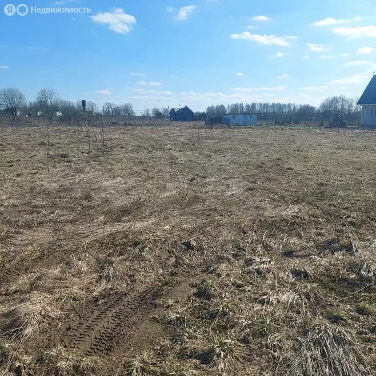 Участок в Волосовский район, Большеврудское сельское поселение, ... - Фото 1