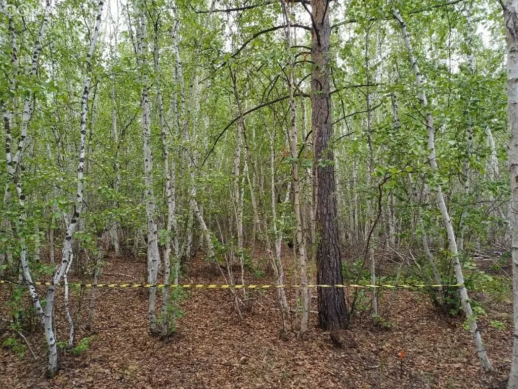 Участок в Якутск, микрорайон Борисовка-3 (7 м) - Фото 0