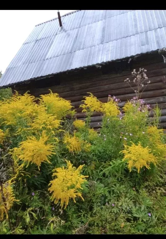 Дача, 30 м - Фото 1