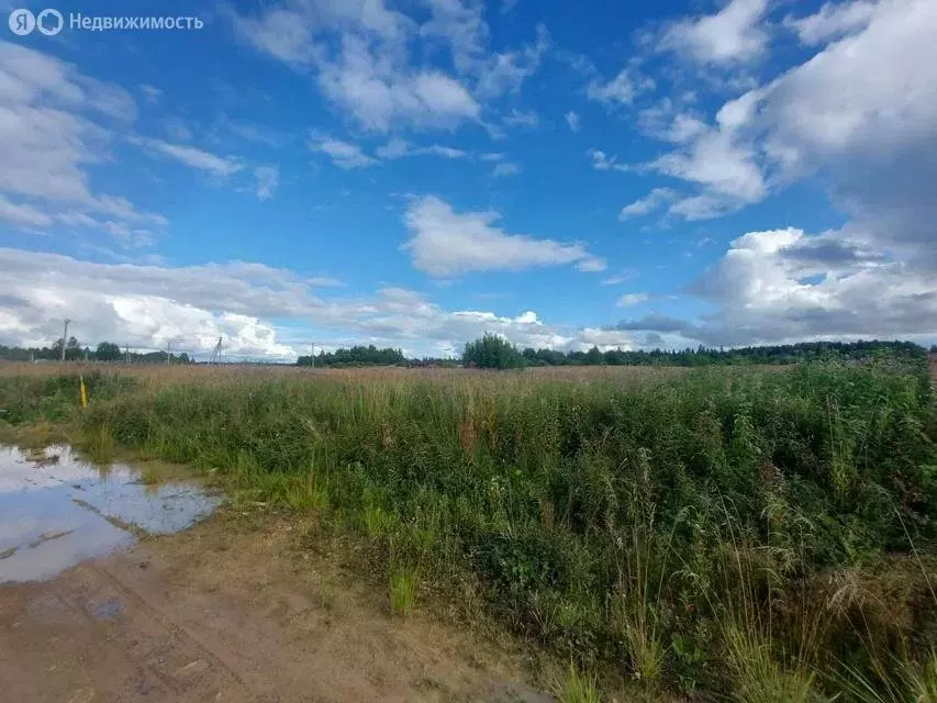 Участок в Волосовский район, Клопицкое сельское поселение, деревня ... - Фото 2