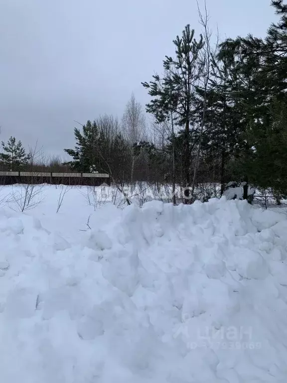 Участок в Нижегородская область, Богородский муниципальный округ, ... - Фото 1