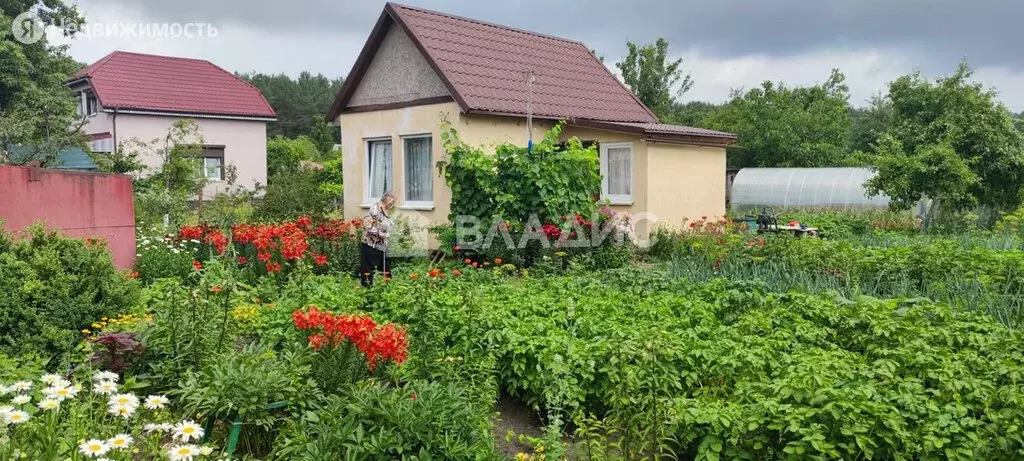 Авито Светлый Калининградская Область Квартиры Купить