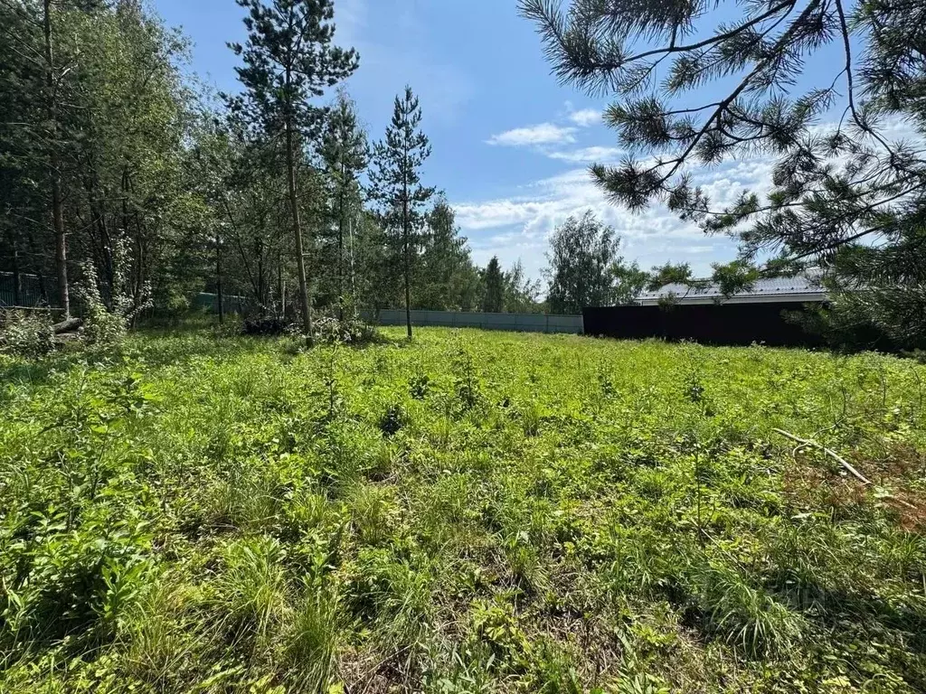 Участок в Московская область, Чехов  (21.0 сот.) - Фото 2