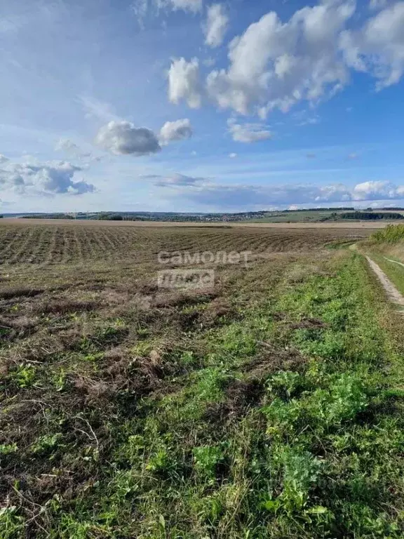 Участок в Чувашия, Чебоксарский муниципальный округ, Абашевское с/пос  ... - Фото 1