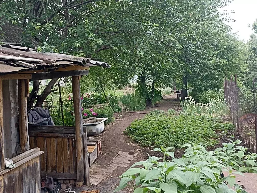 Участок в Саратовская область, Энгельс муниципальное образование, ... - Фото 2