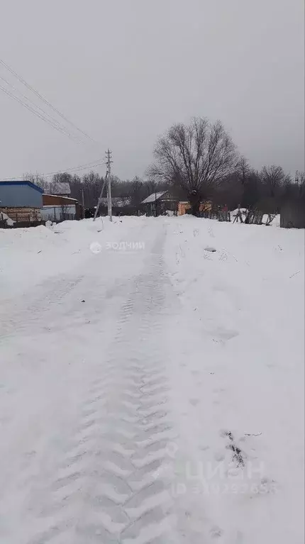 Участок в Чувашия, Чебоксарский муниципальный округ, д. Шобашкаркасы ... - Фото 1