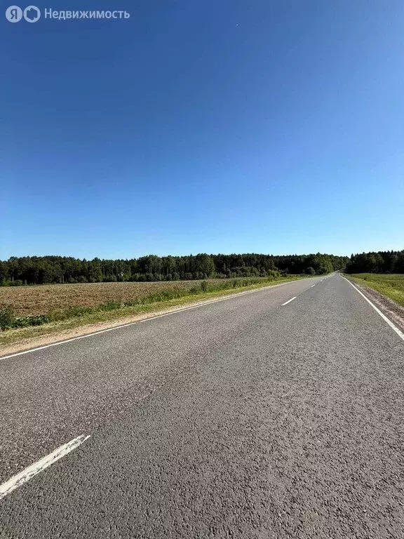 Участок в Московская область, Дмитровский муниципальный округ, КП ... - Фото 2