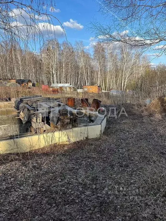 Участок в Новосибирская область, Новосибирск Ландыш садовое ... - Фото 2
