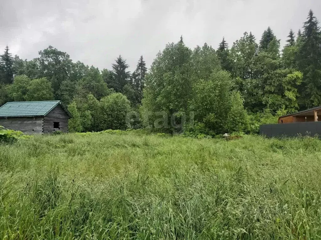 Участок в Ленинградская область, Волосово Комсомольская ул., 68 (11.97 ... - Фото 0