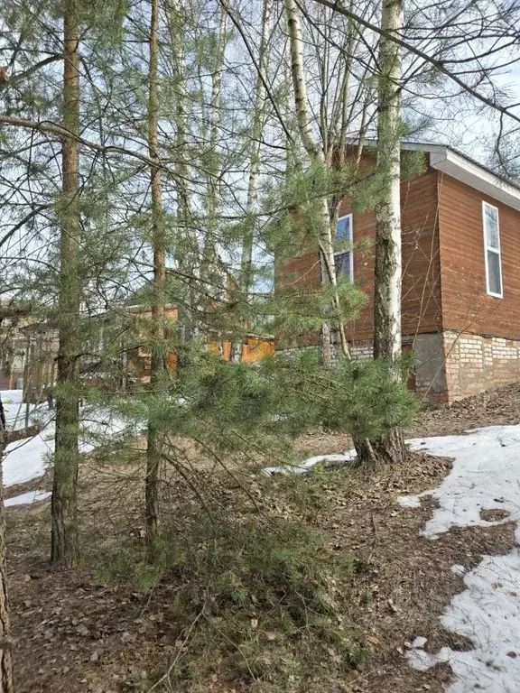 Участок в Московская область, Пушкино Сосенки СНТ, 72 (6.0 сот.) - Фото 2