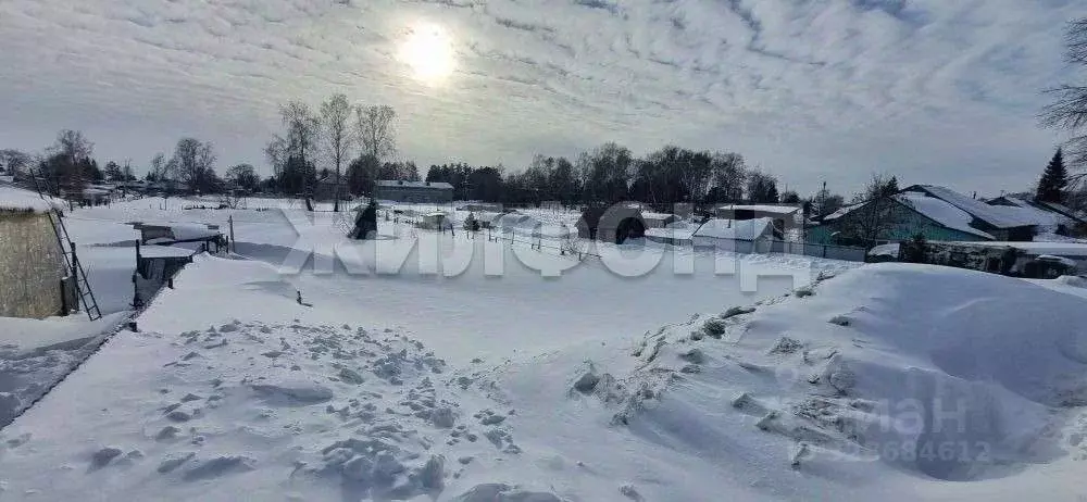 Участок в Новосибирская область, Новосибирский район, Станционный ... - Фото 1