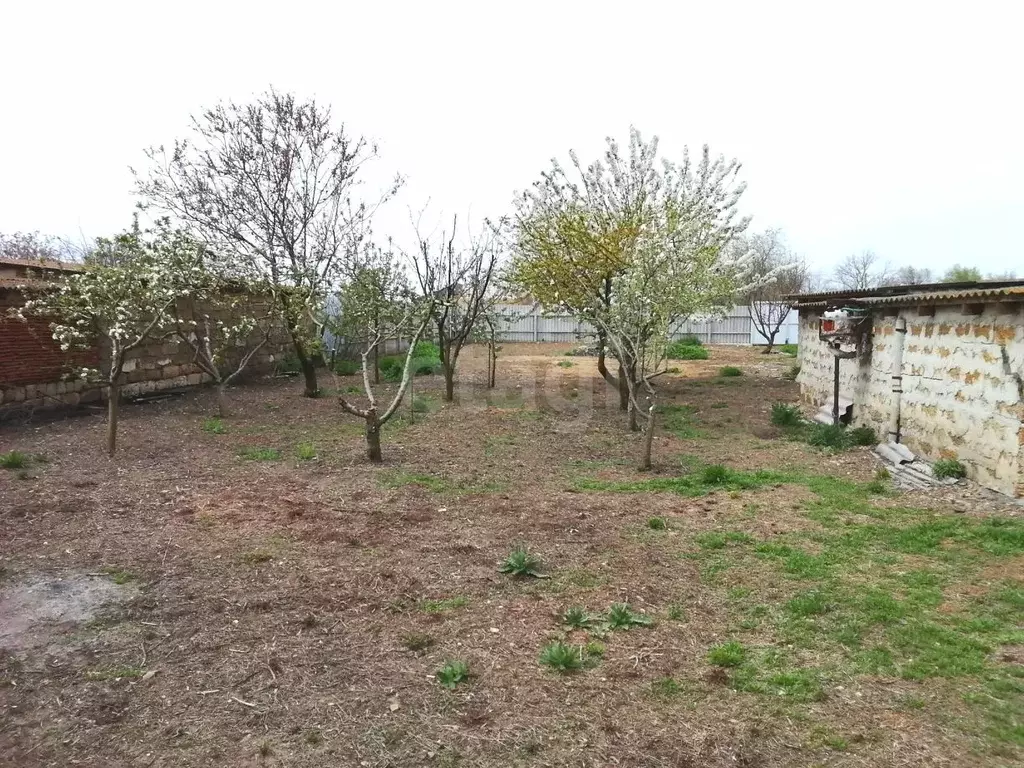 Дом в Крым, Советский район, с. Дмитровка ул. Киевская (89 м) - Фото 1