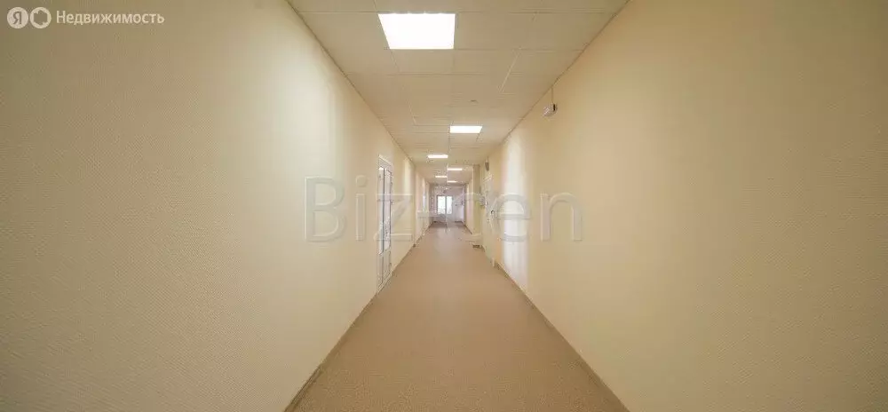 Офис (124.6 м) - Фото 1