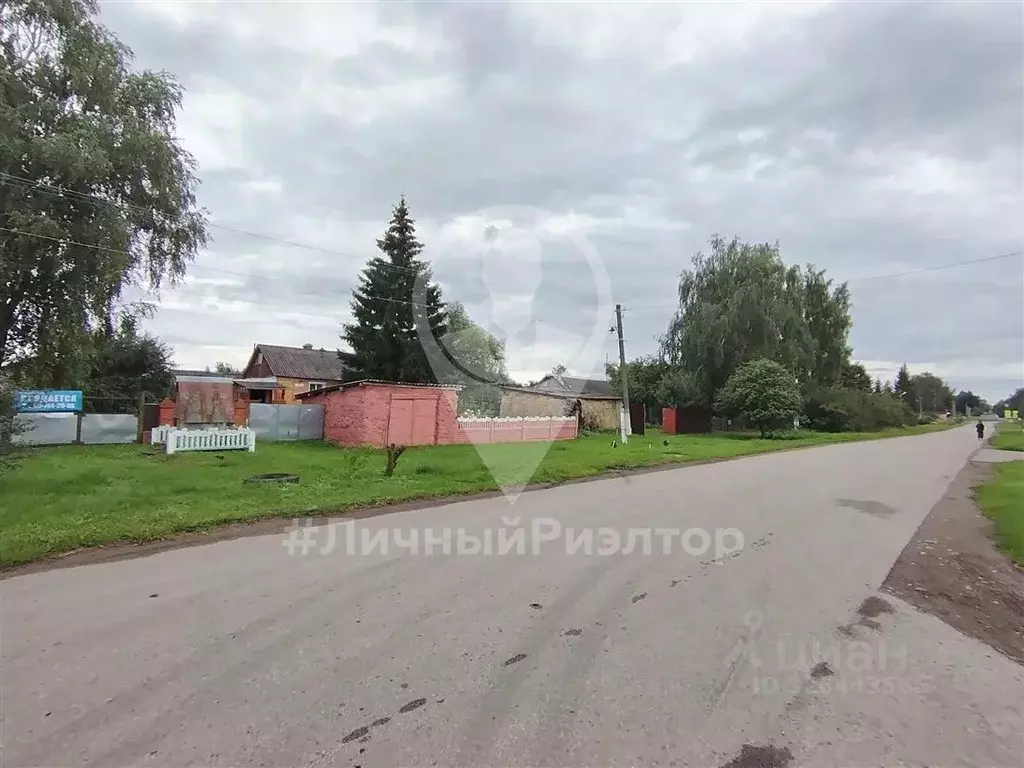 Участок в Рязанская область, Михайловский муниципальный округ, с. ... - Фото 2