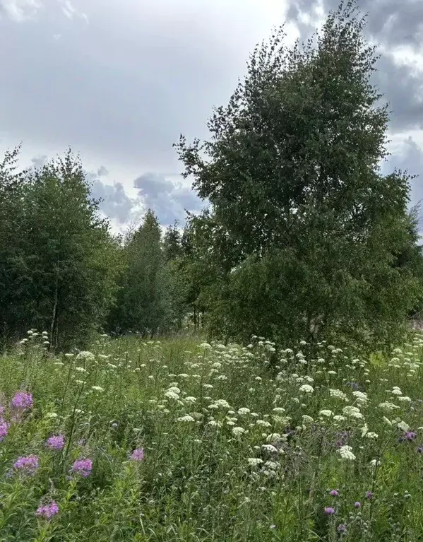 Участок в Московская область, Павлово-Посадский городской округ, д. ... - Фото 1