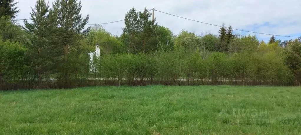 Участок в Ленинградская область, Приозерский район, Мельниковское ... - Фото 1