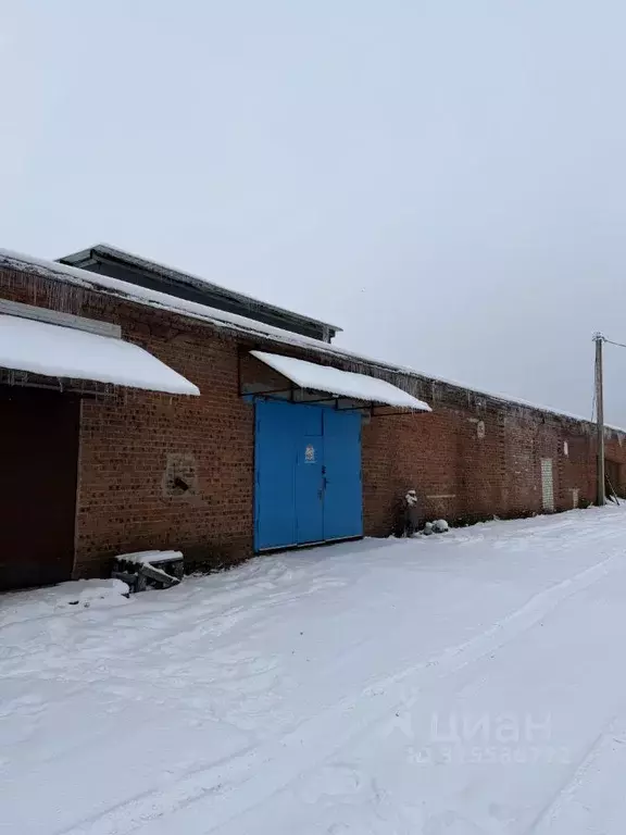 Помещение свободного назначения в Московская область, Дмитров ... - Фото 1