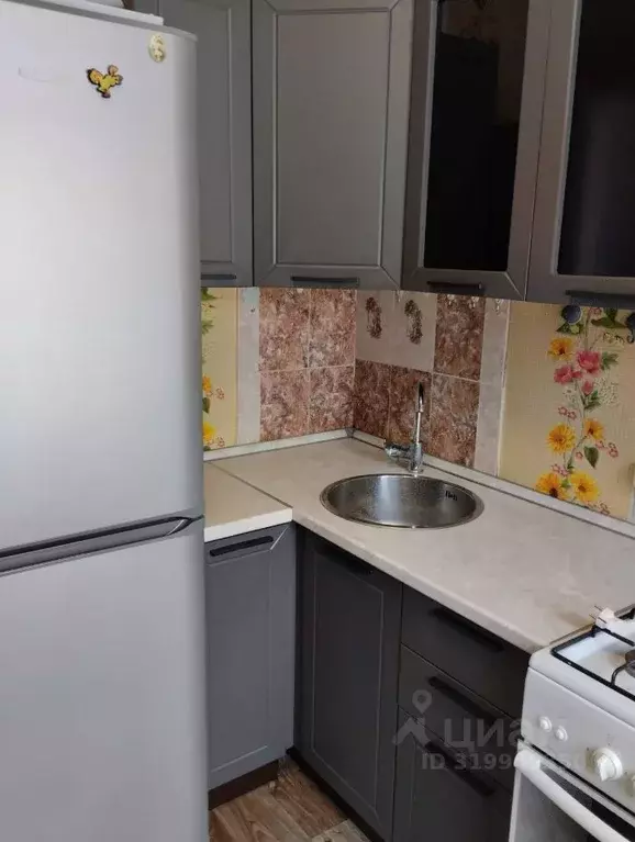 1-к кв. Алтайский край, Бийск ул. Михаила Ломоносова, 63 (31.0 м) - Фото 0