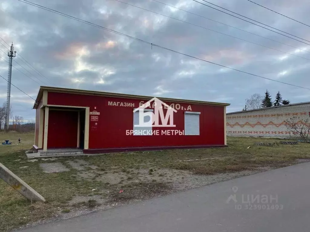 Торговая площадь в Брянская область, Брянский район, Глинищевское ... - Фото 2