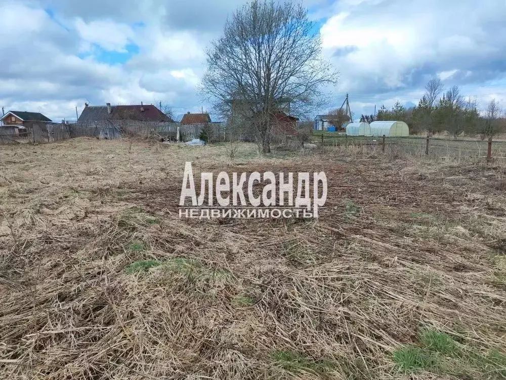 Участок в Ленинградская область, Ломоносовский район, Лопухинское ... - Фото 1