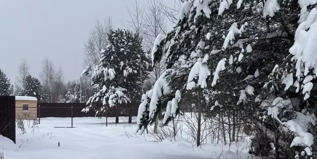 Участок в Московская область, Орехово-Зуевский городской округ, д. ... - Фото 1