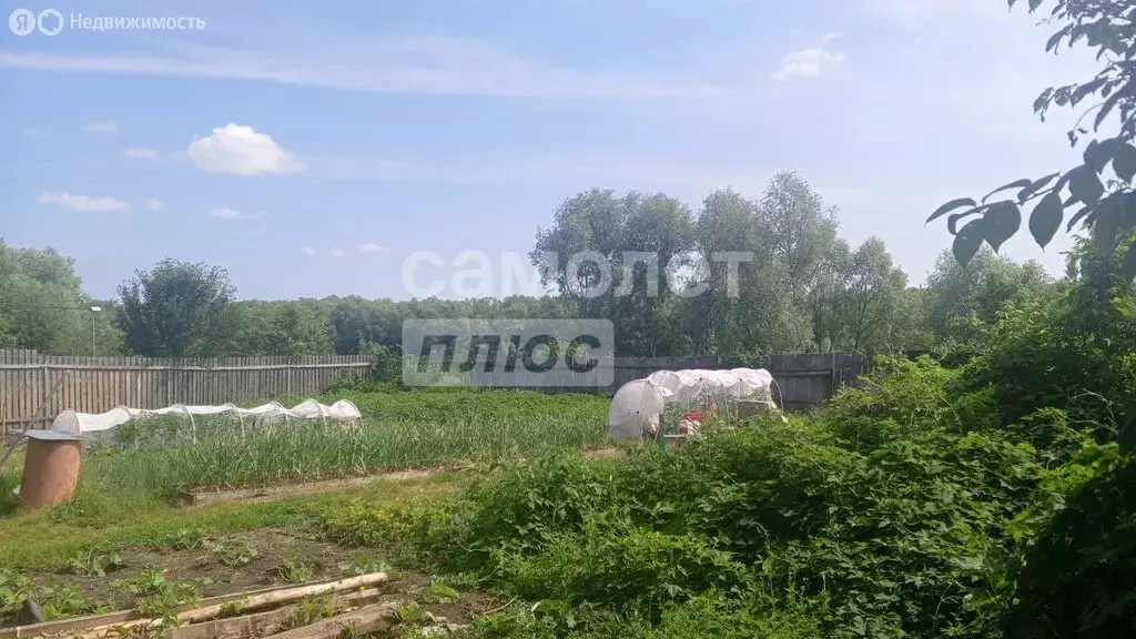 Участок в Алатырь, улица Спуск Жуковского, 52 (7 м) - Фото 0
