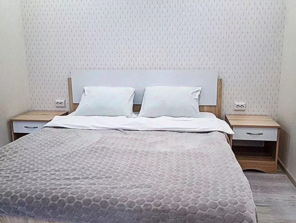 1-к кв. Ростовская область, Ростов-на-Дону Соборный пер., 98 (46.0 м) - Фото 2