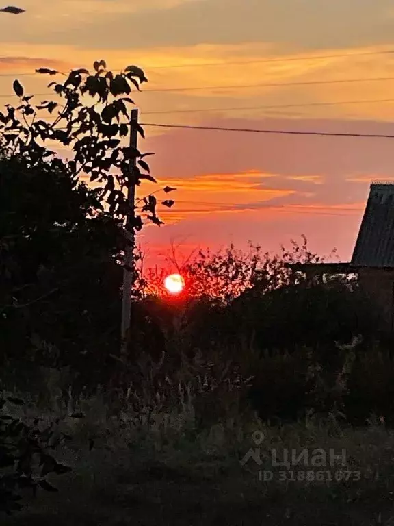 Участок в Ростовская область, Азовский район, Новоалександровское ... - Фото 0