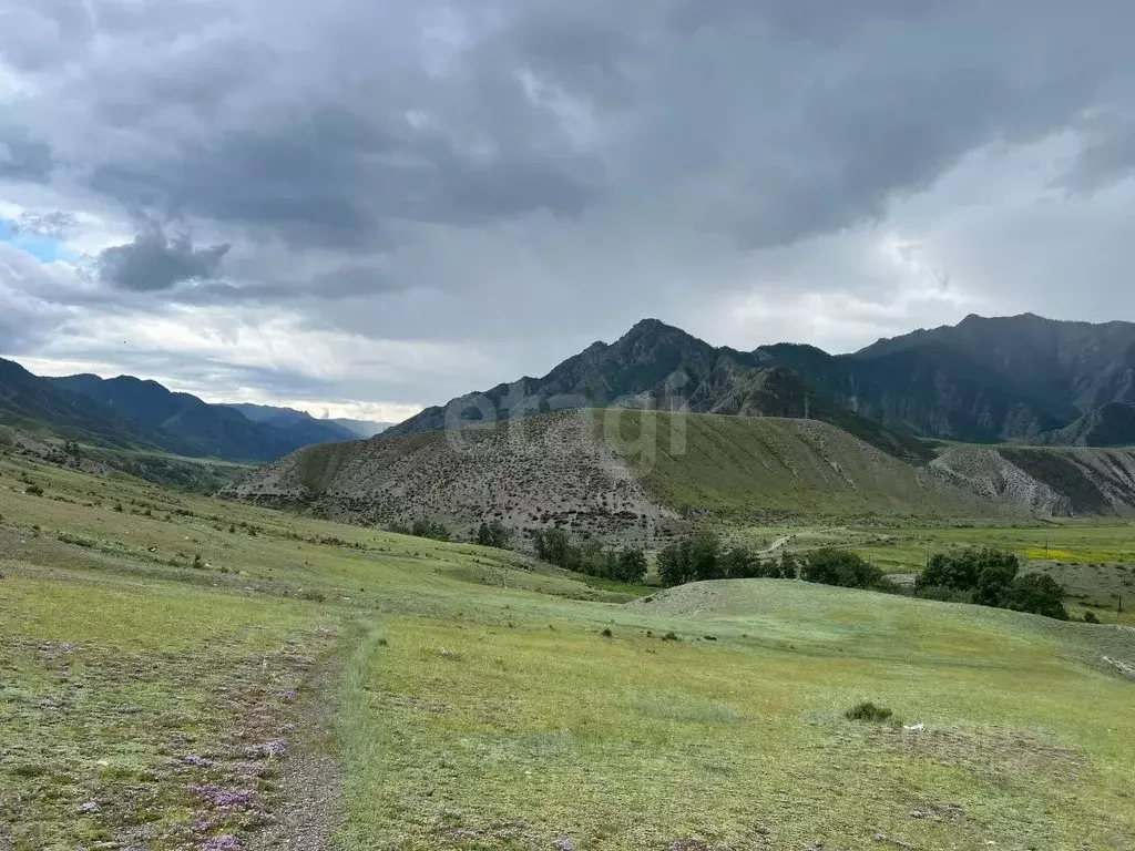 Участок в Алтай, Онгудайский район, с. Малый Яломан  (73.0 сот.) - Фото 0