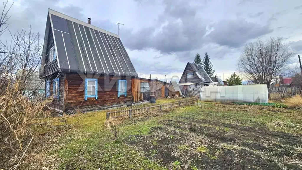 Дом в Новосибирская область, Коченевский район, Березка-1 СНТ  (50 м) - Фото 0