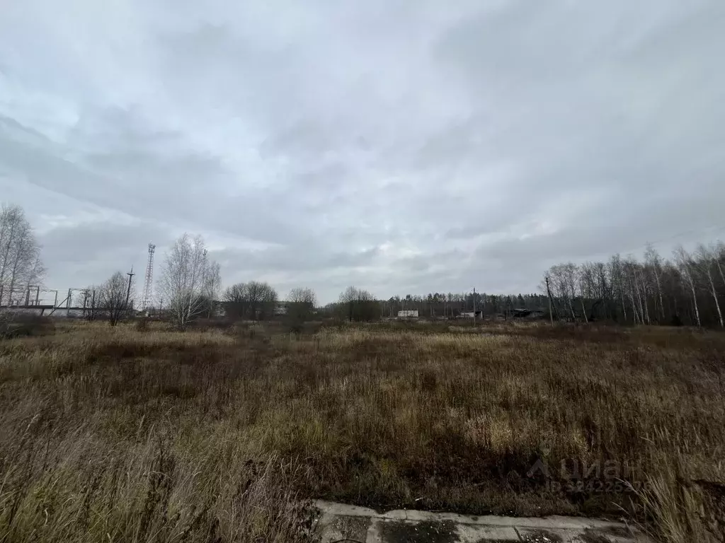 Участок в Брянская область, Брянский район, Добрунское с/пос, с. ... - Фото 2